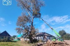 выкса.рф, 🌳 В Сноведи спилили аварийные деревья у ЛЭП. Куда обращаться с такой заявкой?